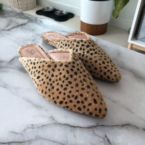 NEW cheetah mules